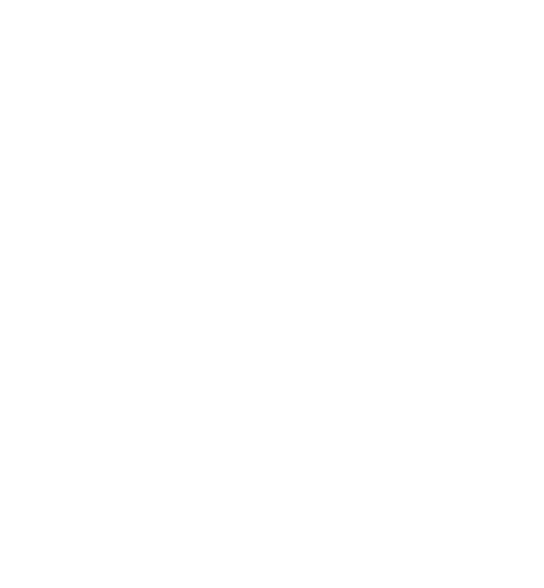 Tesla Smaller